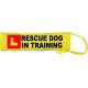 L Dog In Training - Fluorescent Neon Yellow Dog Lead Slip