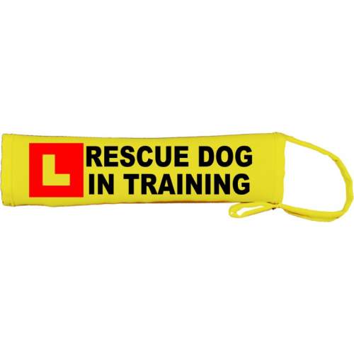 L Dog In Training - Fluorescent Neon Yellow Dog Lead Slip