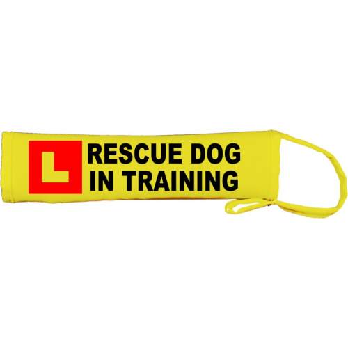 L Rescue dog in training - Fluorescent Neon Yellow Dog Lead Slip