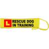 - Fluorescent Neon Yellow Dog Lead Slip