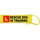 L Rescue dog in training - Fluorescent Neon Yellow Dog Lead Slip