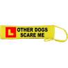 - Fluorescent Neon Yellow Dog Lead Slip