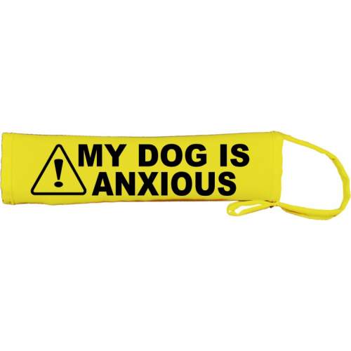 - Fluorescent Neon Yellow Dog Lead Slip