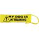 Caution My Dog Is In Training - Fluorescent Neon Yellow Dog Lead Slip