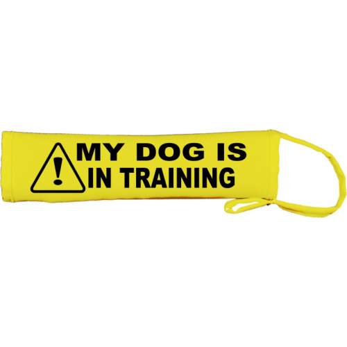 Caution My Dog Is In Training - Fluorescent Neon Yellow Dog Lead Slip
