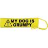 - Fluorescent Neon Yellow Dog Lead Slip