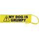 Caution My Dog Is Grumpy - Fluorescent Neon Yellow Dog Lead Slip