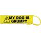 - Fluorescent Neon Yellow Dog Lead Slip