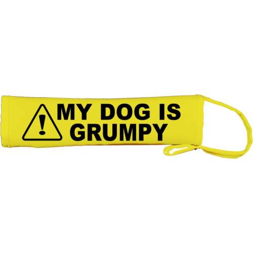Caution My Dog Is Grumpy - Fluorescent Neon Yellow Dog Lead Slip