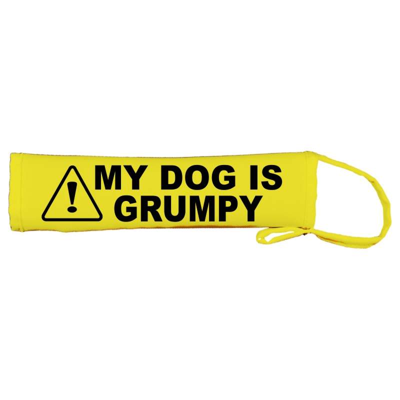 - Fluorescent Neon Yellow Dog Lead Slip