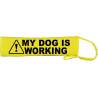 - Fluorescent Neon Yellow Dog Lead Slip