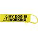 Caution My Dog Is Working- Fluorescent Neon Yellow Dog Lead Slip