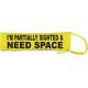 I'm Partially Sighted & Need Space - Fluorescent Neon Yellow Dog Lead Slip