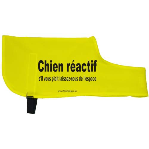 Chien réactif s'il vous plaît laissez-nous de l'espace - Fluorescent Neon Yellow Dog Coat Jacket