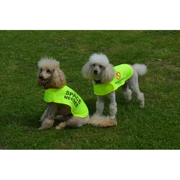 Space Needed - Fluorescent Neon Yellow Dog Coat Jacket