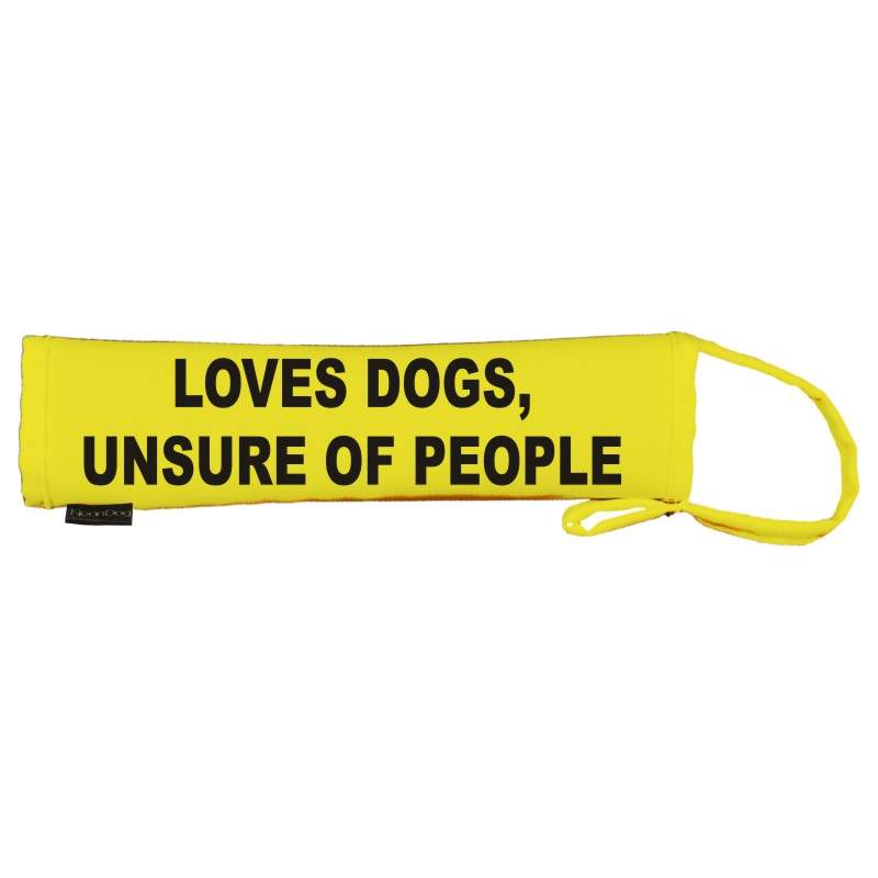 loves dogs, unsure of people - Fluorescent Neon Yellow Dog Lead Slip