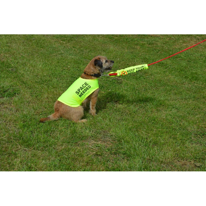 Space Needed - Fluorescent Neon Yellow Dog Coat Jacket