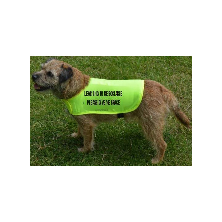 LEARNING TO BE SOCIABLE PLEASE GIVE ME SPACE  - Fluorescent Neon Yellow Dog Coat Jacket