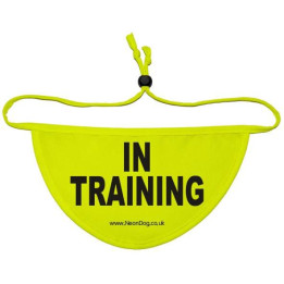 in training - Fluorescent Neon Yellow Dog Bandana