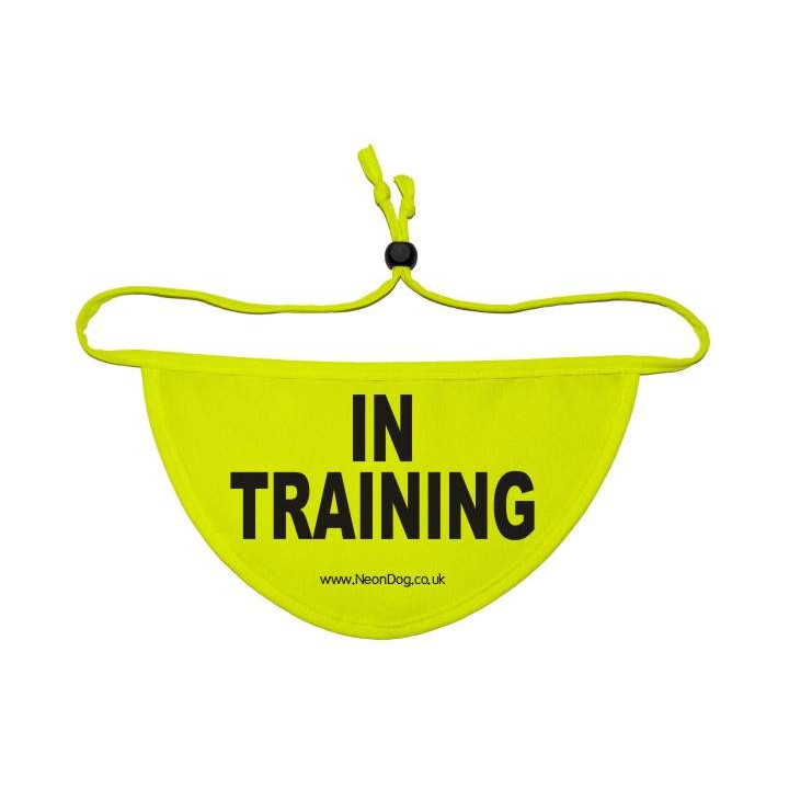 in training - Fluorescent Neon Yellow Dog Bandana