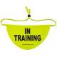 in training - Fluorescent Neon Yellow Dog Bandana