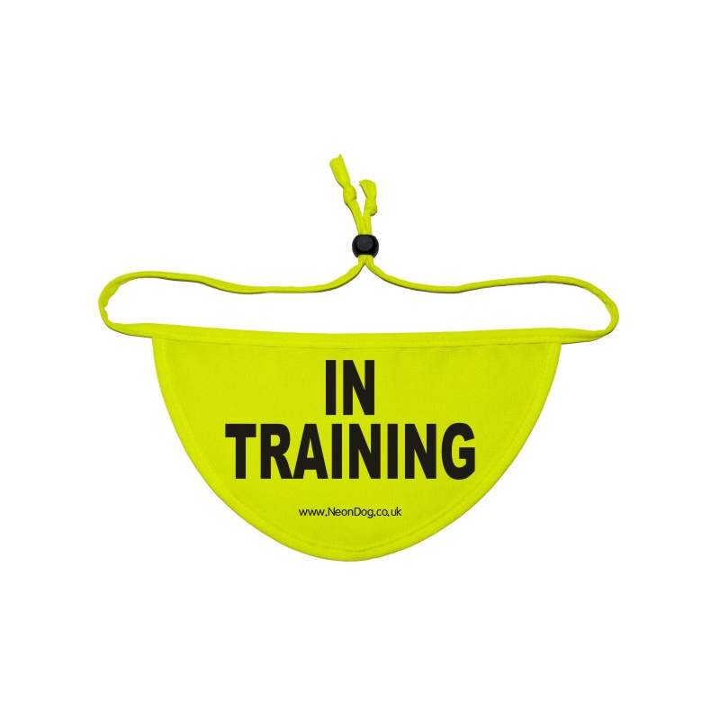 in training - Fluorescent Neon Yellow Dog Bandana
