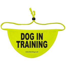 Dog In Training  - Fluorescent Neon Yellow Dog Bandana