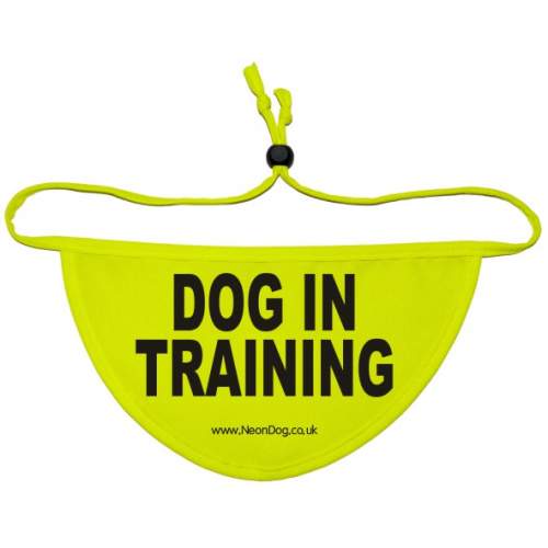 Dog In Training - Fluorescent Neon Yellow Dog Bandana
