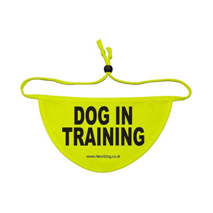Dog In Training  - Fluorescent Neon Yellow Dog Bandana