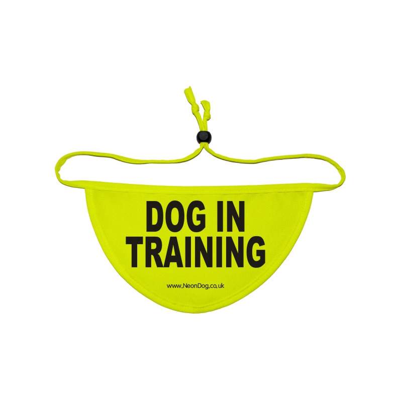 Dog In Training - Fluorescent Neon Yellow Dog Bandana