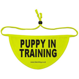 Puppy In Training - Fluorescent Neon Yellow Dog Bandana