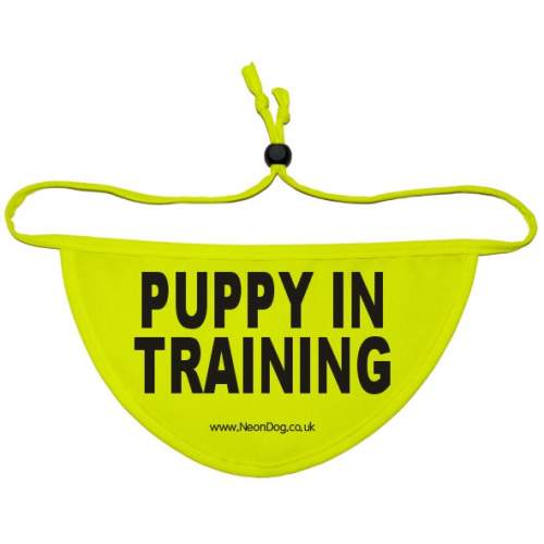 Puppy In Training - Fluorescent Neon Yellow Dog Bandana