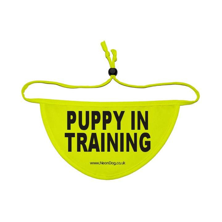 Puppy In Training - Fluorescent Neon Yellow Dog Bandana