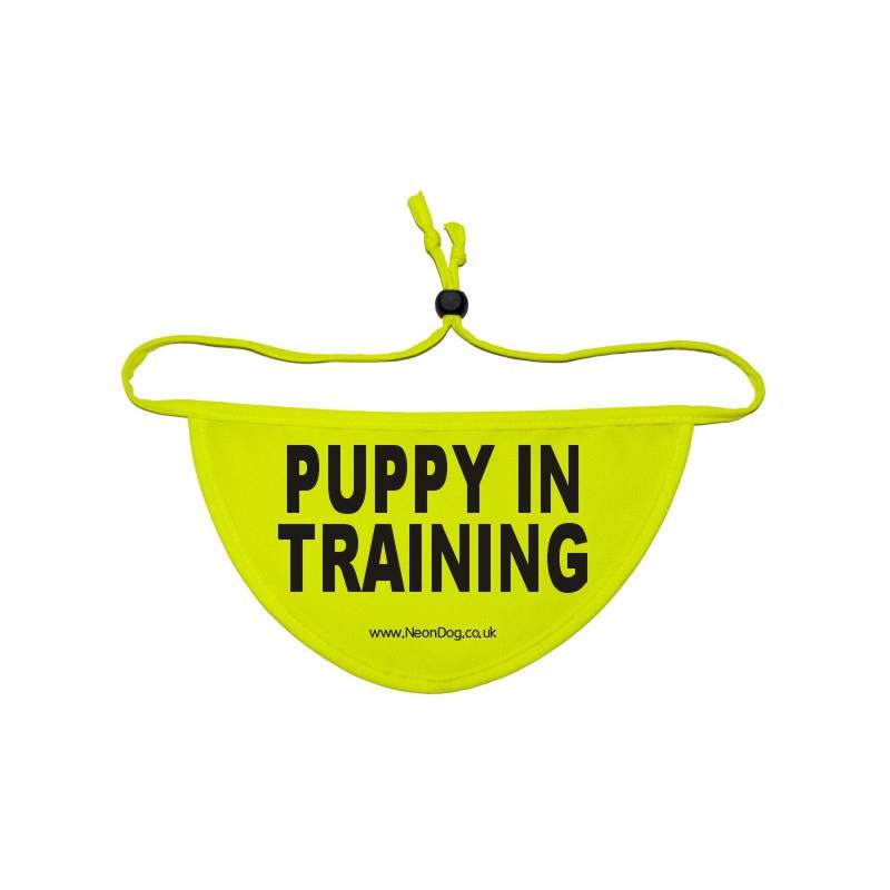 Puppy In Training - Fluorescent Neon Yellow Dog Bandana