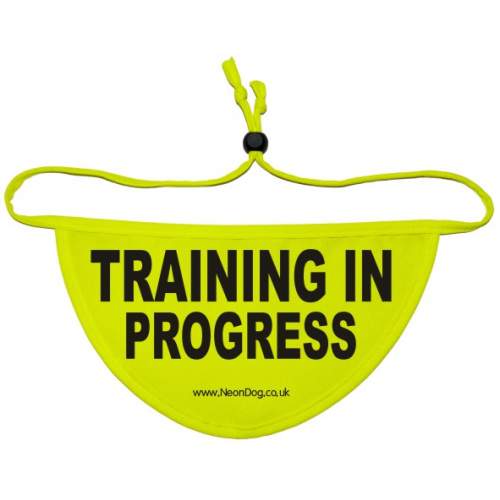 Training In Progress - Fluorescent Neon Yellow Dog Bandana