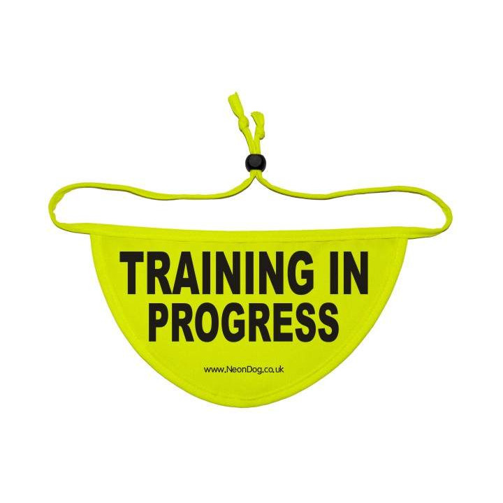 Training In Progress - Fluorescent Neon Yellow Dog Bandana
