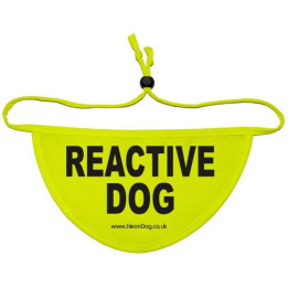REACTIVE DOG - Fluorescent Neon Yellow Dog Bandana
