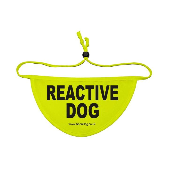 REACTIVE DOG - Fluorescent Neon Yellow Dog Bandana