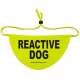REACTIVE DOG - Fluorescent Neon Yellow Dog Bandana