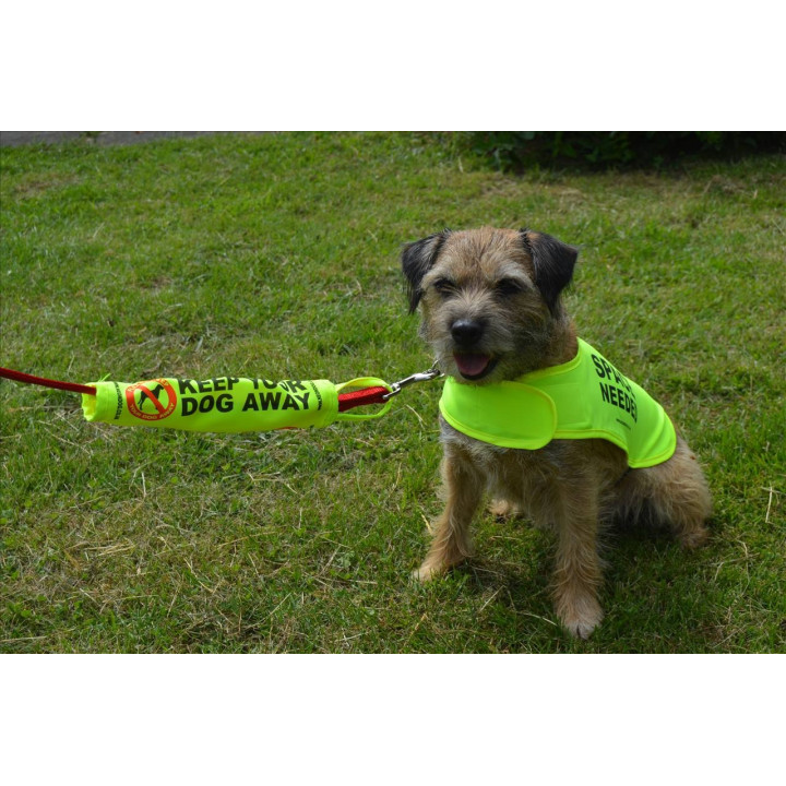 Space Needed - Fluorescent Neon Yellow Dog Coat Jacket