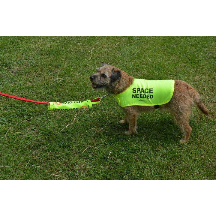 Space Needed - Fluorescent Neon Yellow Dog Coat Jacket