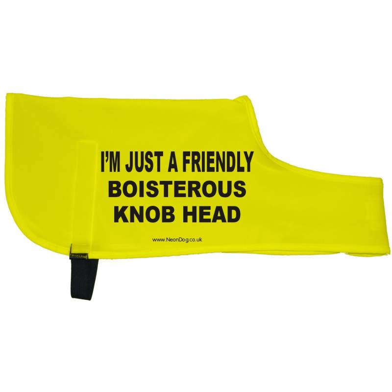 I’m just a friendly boisterous Knob head - Fluorescent Neon Yellow Dog Coat Jacket