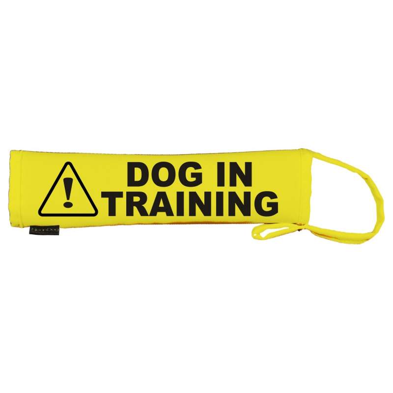 Keep Your Dog Away - Fluorescent Neon Yellow Dog Lead Slip