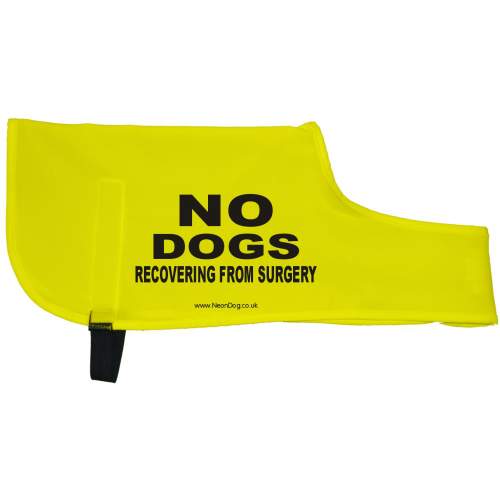 No Dogs - recovering from surgery - Fluorescent Neon Yellow Dog Coat Jacket