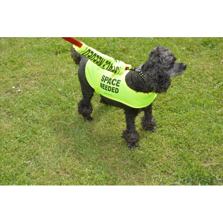 Space Needed - Fluorescent Neon Yellow Dog Coat Jacket