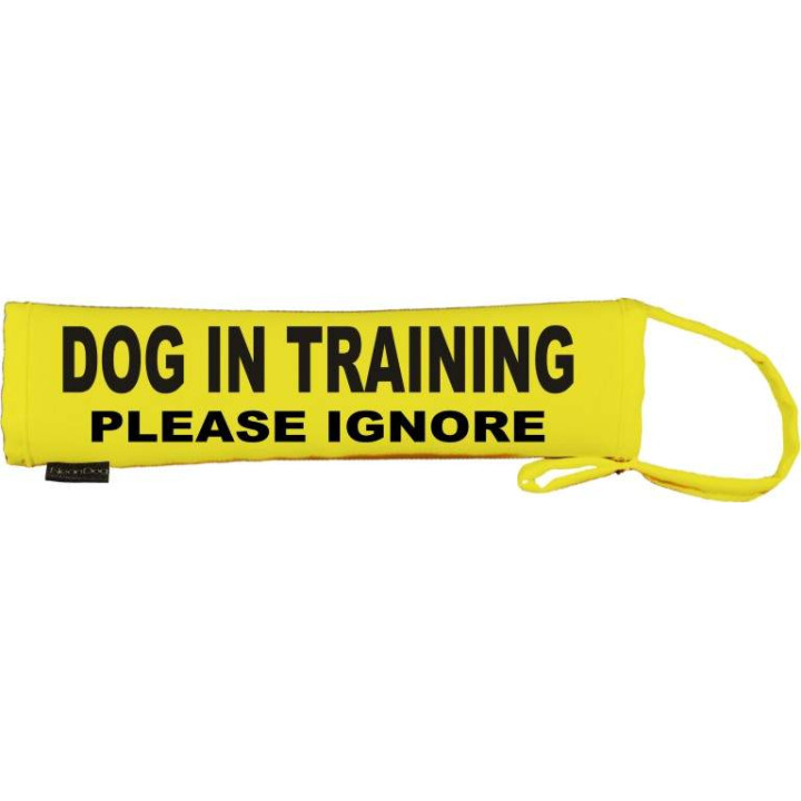 Dog in training please ignore - Fluorescent Neon Yellow Dog Lead Slip