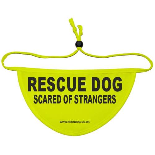 RESCUE DOG SCARED OF STRANGERS - Fluorescent Neon Yellow Dog Bandana
