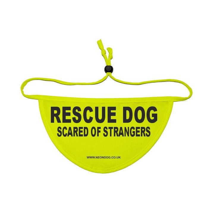 RESCUE DOG SCARED OF STRANGERS - Fluorescent Neon Yellow Dog Bandana