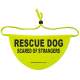 RESCUE DOG SCARED OF STRANGERS - Fluorescent Neon Yellow Dog Bandana