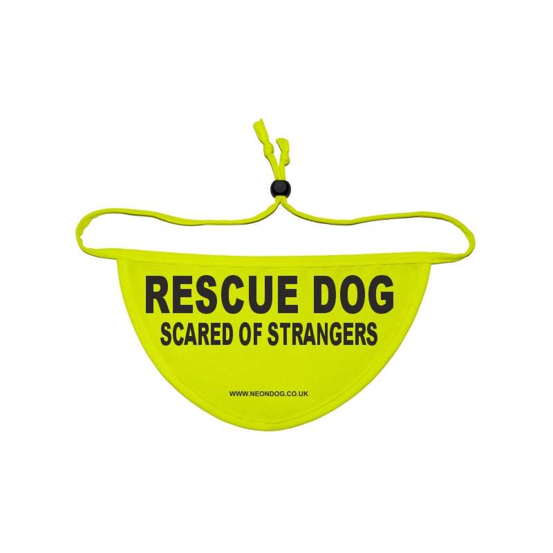 RESCUE DOG SCARED OF STRANGERS - Fluorescent Neon Yellow Dog Bandana